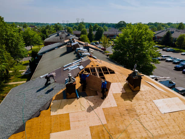 Best Metal Roofing Contractor  in Potterville, MI