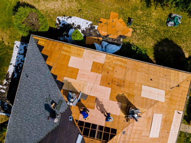 Best Roof Maintenance Services  in Potterville, MI