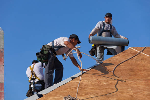 Best Roofing Contractor Near Me  in Potterville, MI