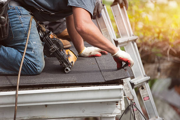 Best Roof Repair Services  in Potterville, MI