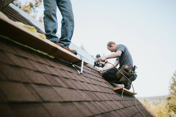 Best Commercial Roofing Services  in Potterville, MI