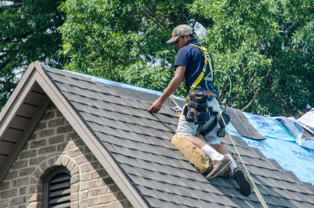 Best Residential Roofing Contractor  in Potterville, MI