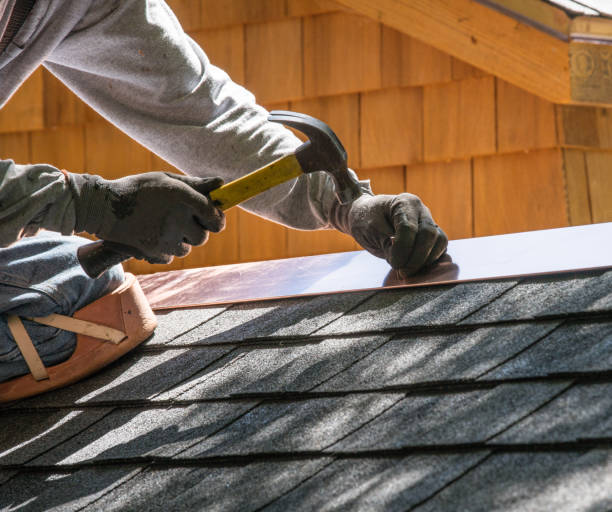 Best Sealant for Roof  in Potterville, MI